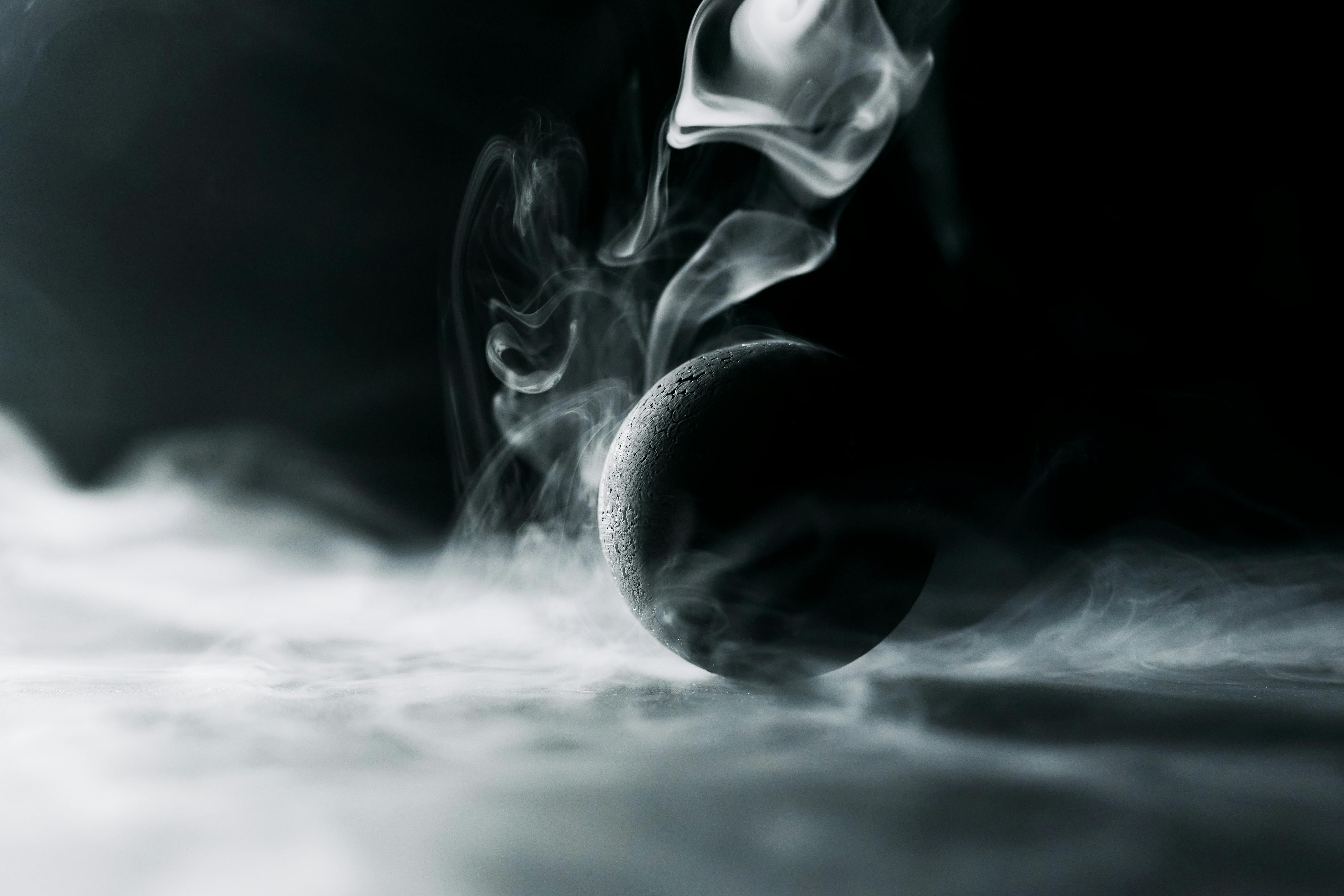 Solanaceae Noir Visual